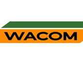 Logo NPI